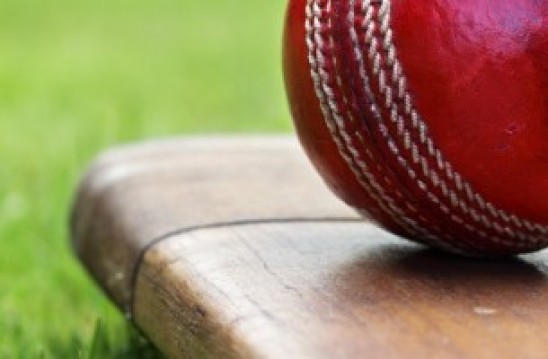 Somerset Cricket 2020