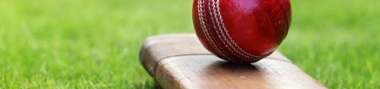 Cricket Players Needed in Portsmouth