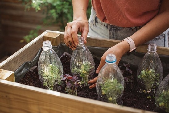 How to Gain from Your Garden