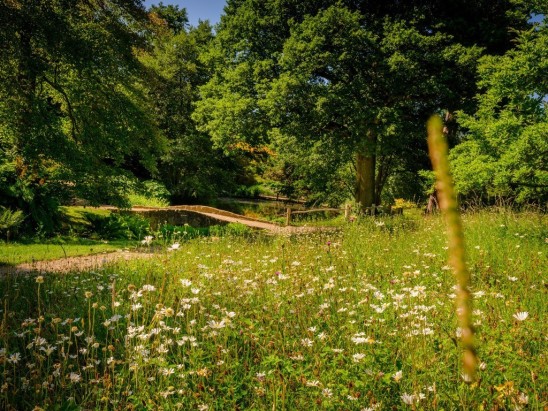 A living laboratory at Kew’s wild botanic garden, Wakehurst